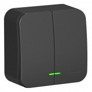 Выключатель 2-клавишный с подсветкой (cх.5) Blanca Schneider Electric 10А 250В антрацит из.пластина